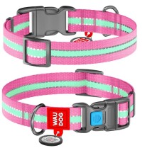 WAUDOG Design Світлонакопичувальний нашийник для собак з QR-паспортом