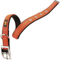 FERPLAST Dual Colours CF20/43 Нашийник для собак