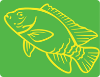 Акварумістика