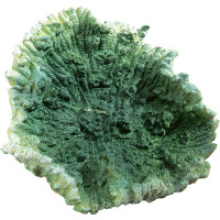 FERPLAST BLU 9137 Декоративний корал для акваріума