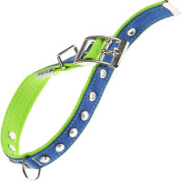 FERPLAST Dual Collar CF25/45 Blue-Green Нашийник для собак