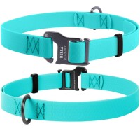 WAUDOG Waterproof Водостійкий нашийник для собак з крючком