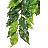 EXO TERRA Ficus Декоративна рослина для тераріуму