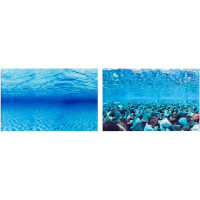 FERPLAST BLU 9041 Двосторонній акваріумний фон Рослини та корали