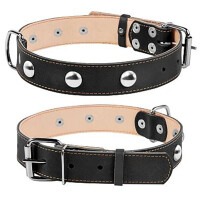 COLLAR Нашийник для собак