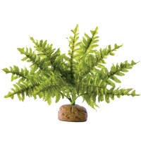EXO TERRA Boston Fern Декоративна рослина для тераріуму
