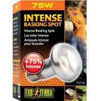 EXO TERRA Intense Basking Spot S20/75W Лампа для тераріуму
