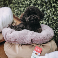 HAPPYPEPPY Петбед Lotos Лежанка для собак